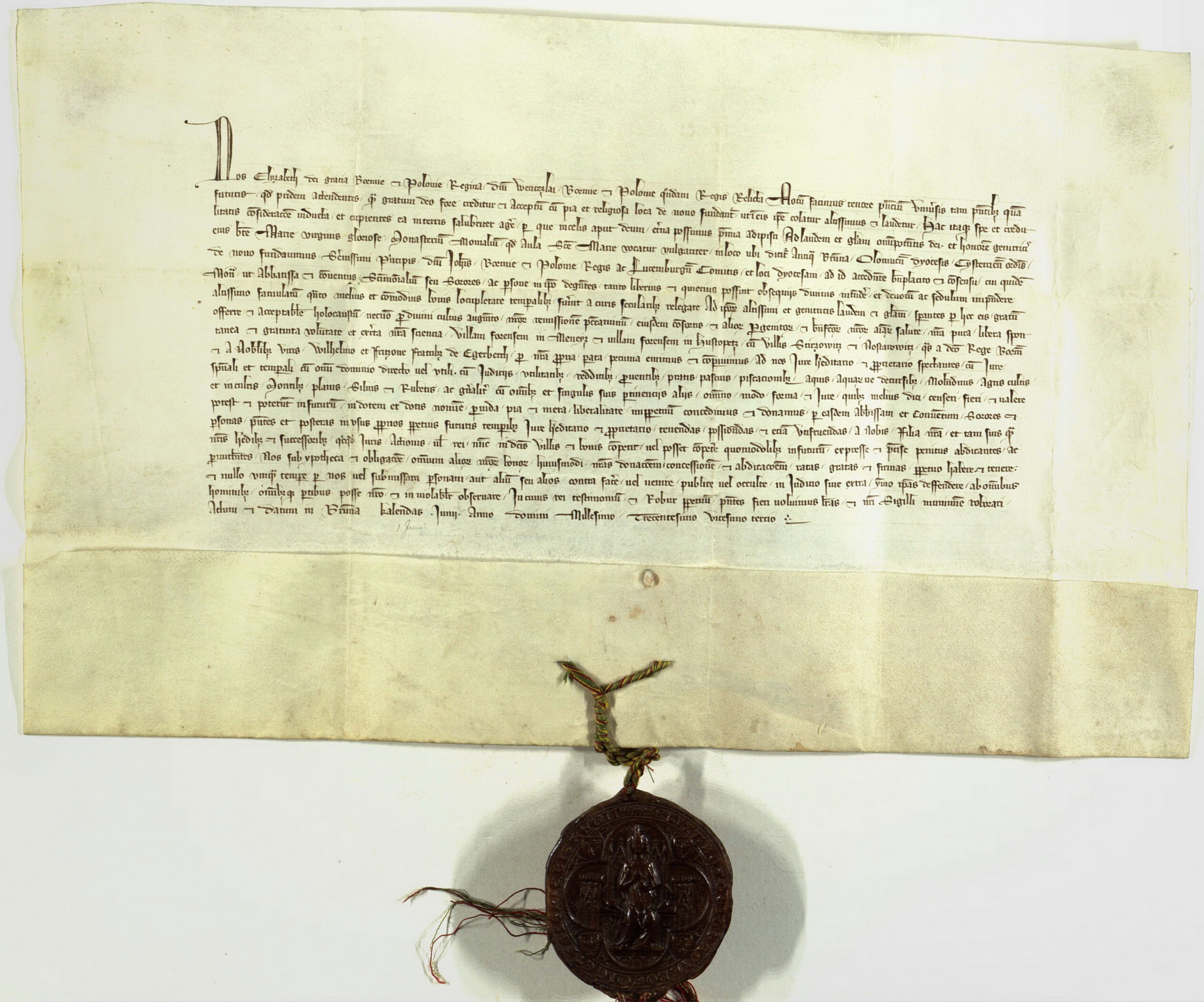 12 1323 06 01 zaloen kltera CDM VI 229