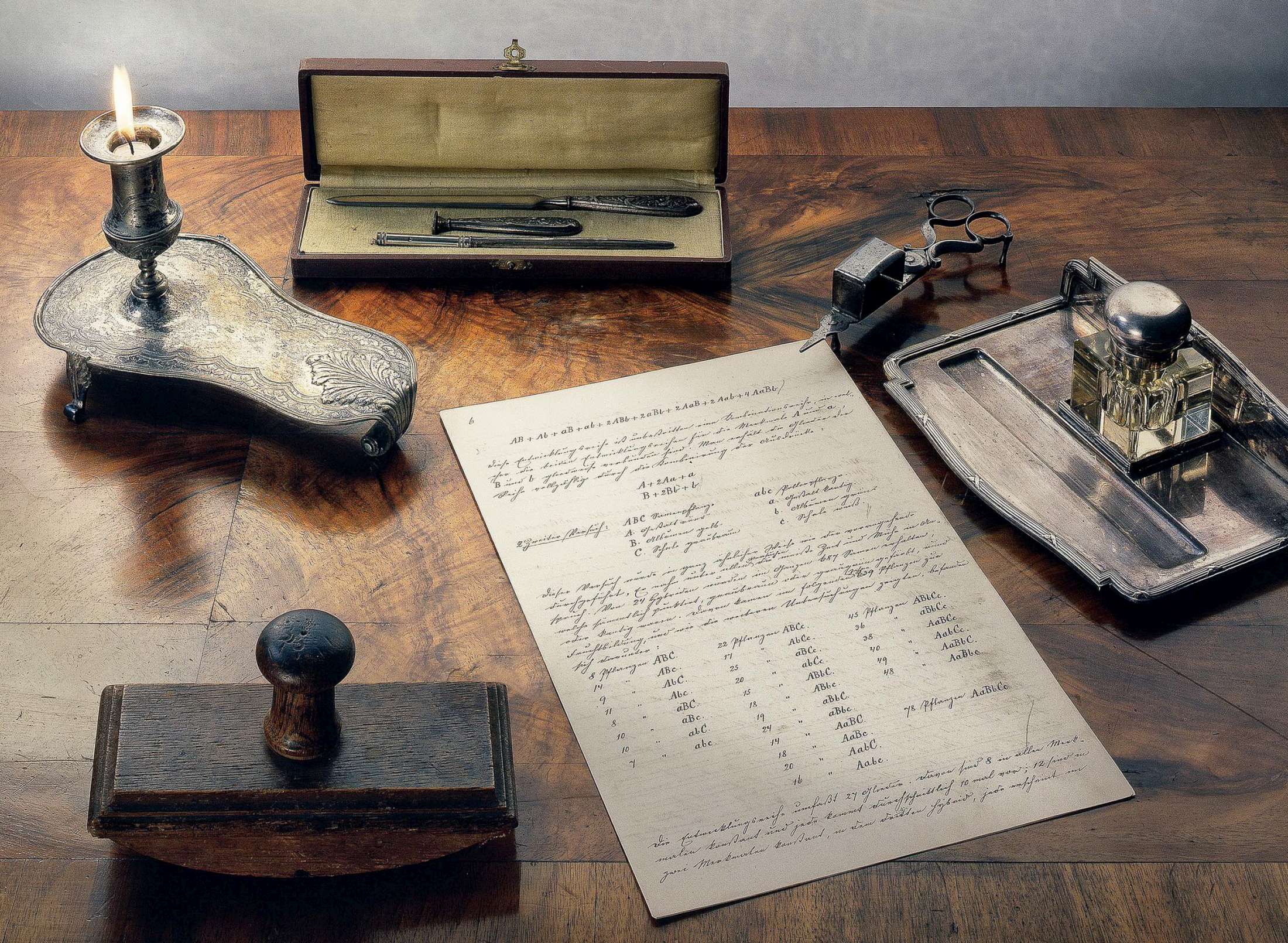 51 foto Hynek Adamek