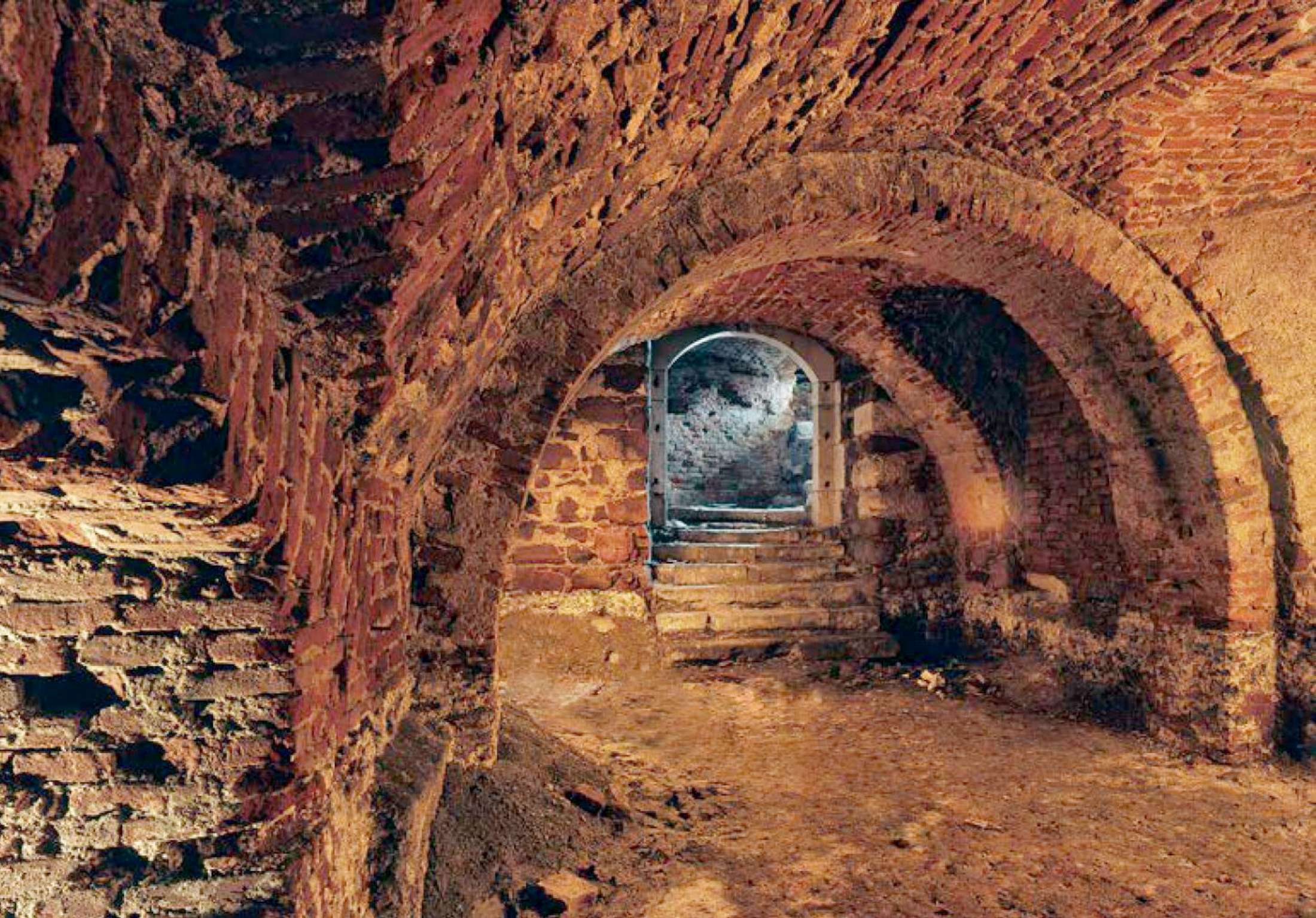 120 foto Hynek Adamek