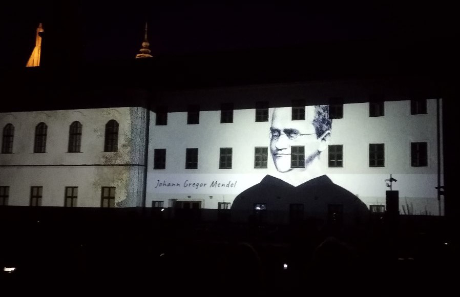 Večerní videomapping v rámci festivalu